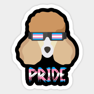 Poodles Transgender Flag Lgbt Sticker